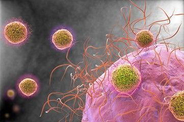 Alimentación y cáncer