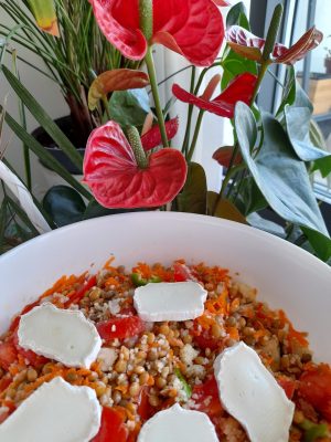 Platos fresquitos de verano